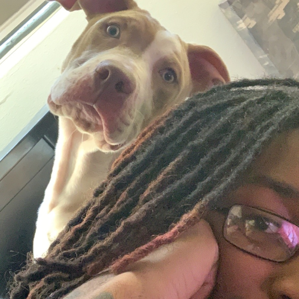 Meet your Posher, Trenton